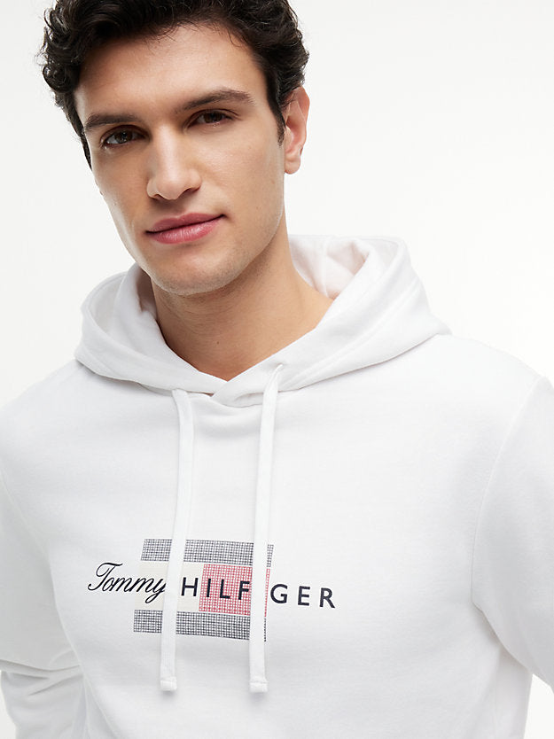 Flag Graphic Terry Drawstring Hoody