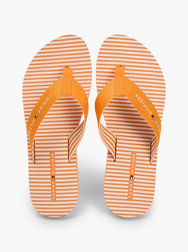 Webbing Strap Ithaca Stripe Flip-Flops