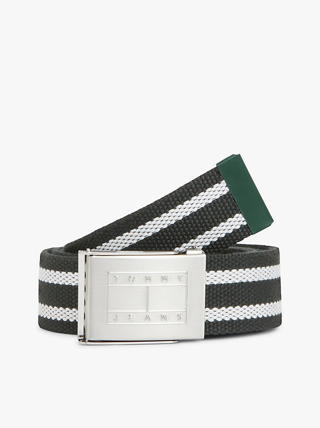 Ryan Stripe Webbing Belt