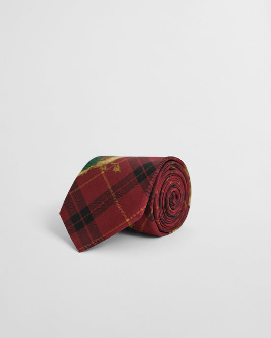 Checked Duck Print Tie